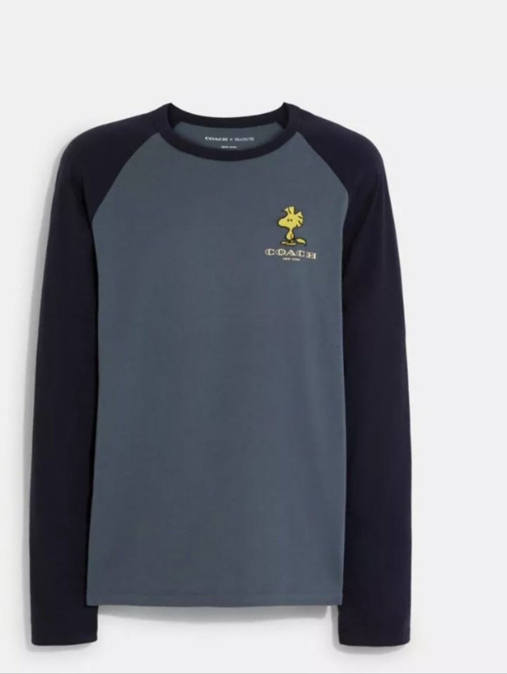 Coach Shirt